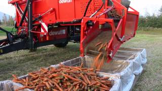 Комбайн Морковь DEWULF GBC с John Deere 5820 трактор — Андерс Hornstein AB Швеция