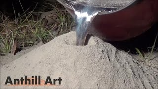 Произведение искусства из муравейника и расплавленного алюминия