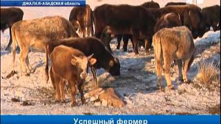 Новые реалии для кыргызских фермеров (ВИДЕО)