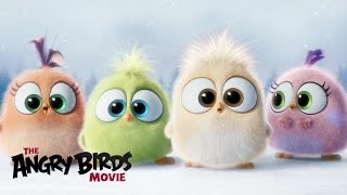 Поздравление с наступающим от Angry Birds